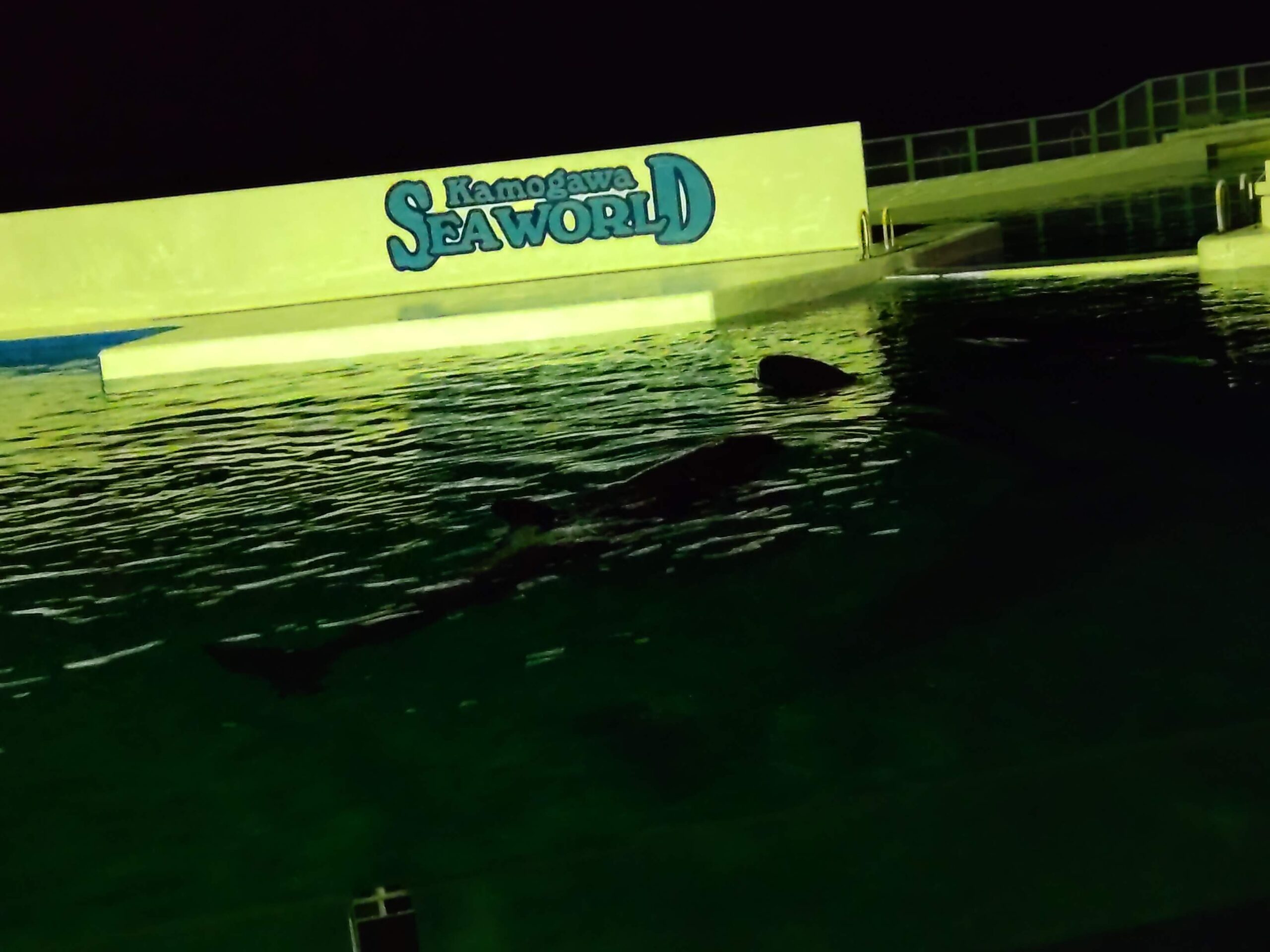 夜の水族館シャチ