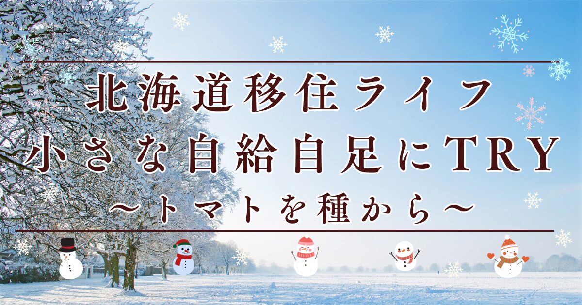 北海道移住ライフ小さな自給自足にTRY トマトを種から　アイキャッチ画像