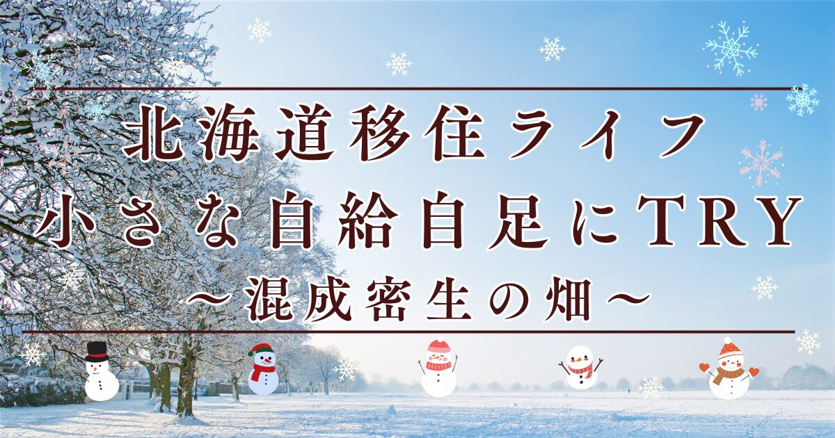 小さな自給自足〜赤紫蘇で染め物〜